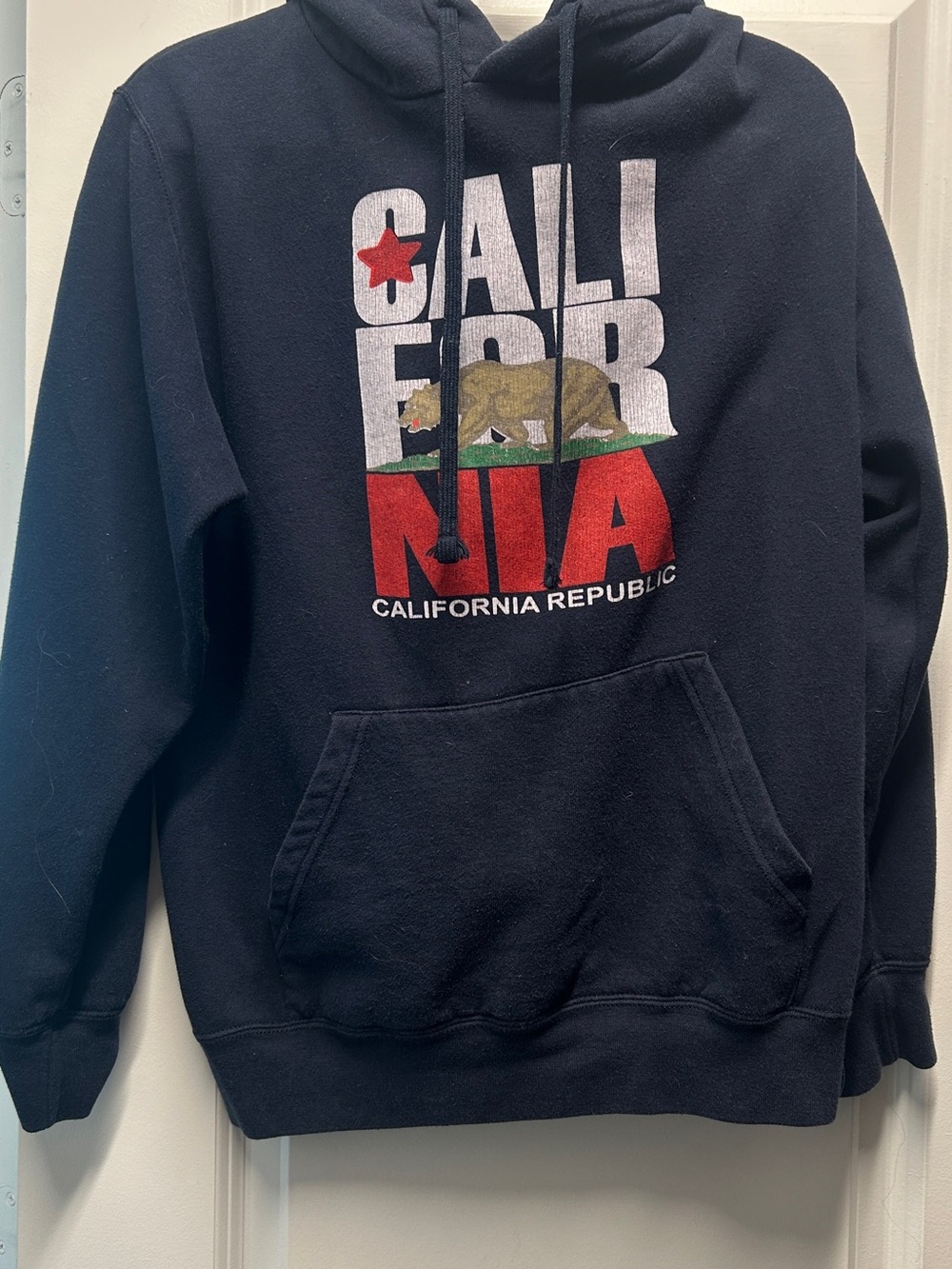 California Republic Hoodie